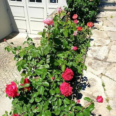 Apartman Natalies Hideaway *