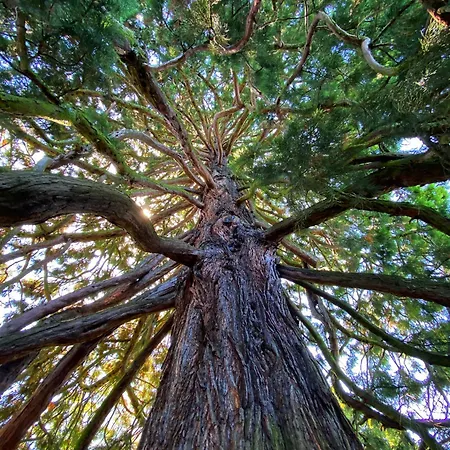 Apartment Natalies Hideaway Thun