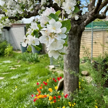 Natalies Hideaway Apartment