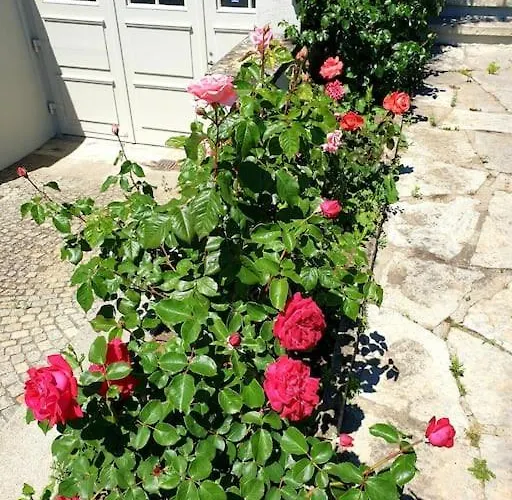 アパート Natalies Hideaway *