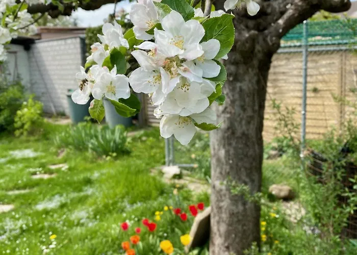 Natalies Hideaway アパート